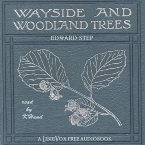 004 - Native Trees and Shrubs Part 3