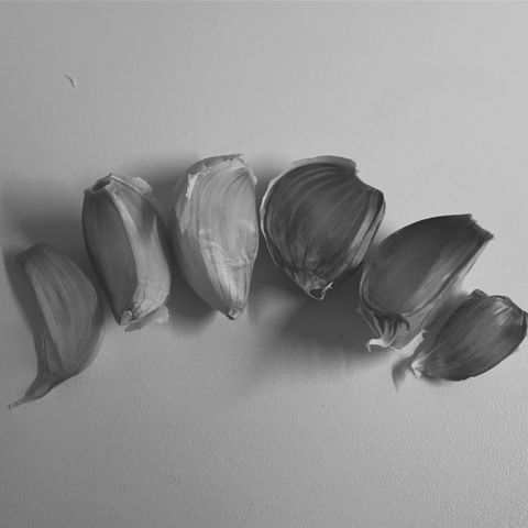 Aforismos dentales