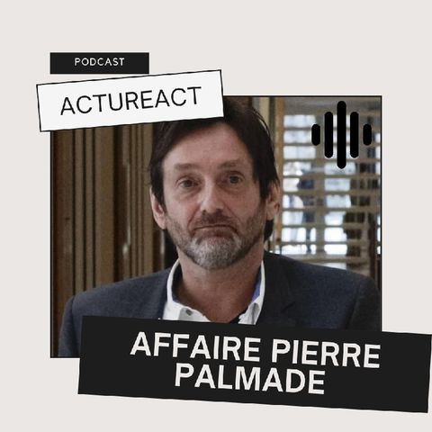 AFFAIRE PIERRE PALMADE [ActuReact]