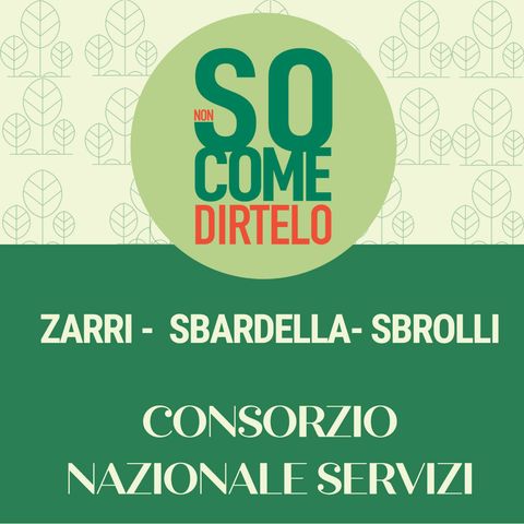 26. Zarri Sbardella Sbrolli - Centro Nazionale Servizi