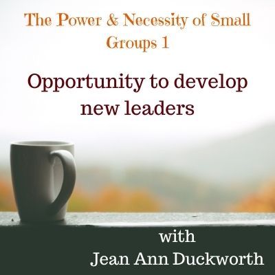 The Power & Necessity of Small Groups 1
