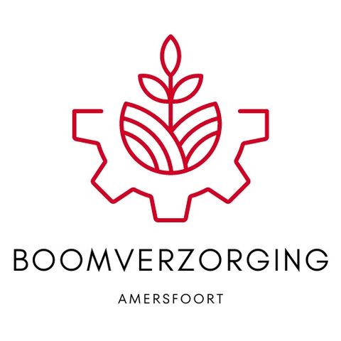 Waarom je een arborist nodig hebt