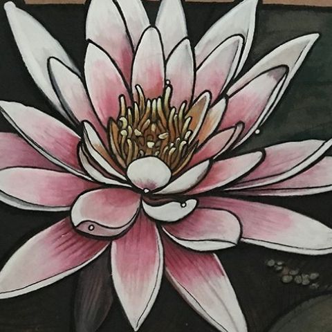 meditazione del fiore di loto