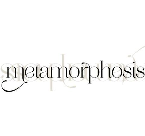 Metamorphosis Pt 1