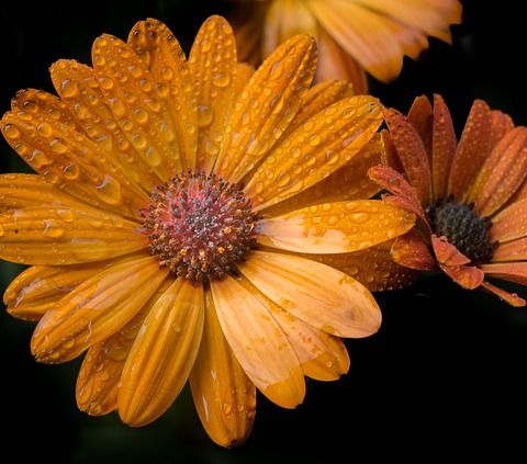 When Caregiving Saturates