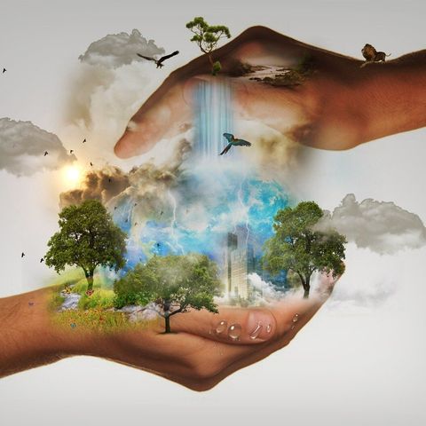 Laudato Sì: l'ecologia al servizio del bene comune