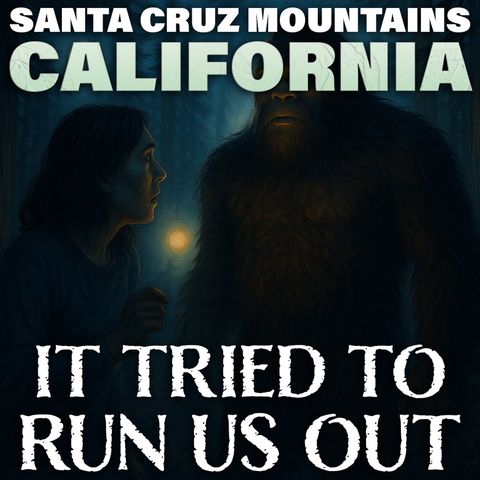BIGFOOT ENCOUNTER IN THE SANTA CRUZ MOUNTAINS (CALIFORNIA) | BIGFOOT WALKED INTO THE CAMPSITE