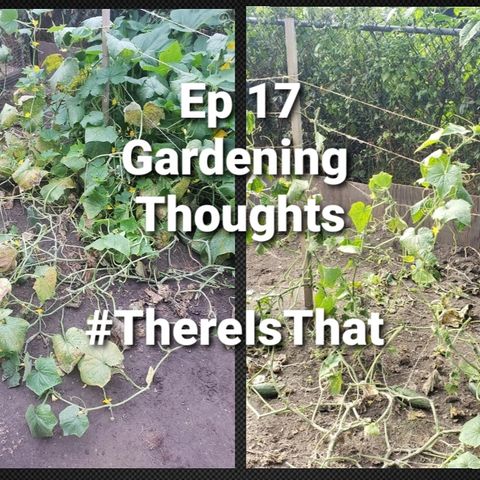 Ep 17 Garden Thoughts