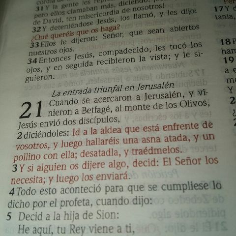 San Mateo Capitulo 21