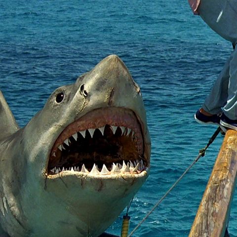 Jaws the Revenge (Podcast/Discussion)