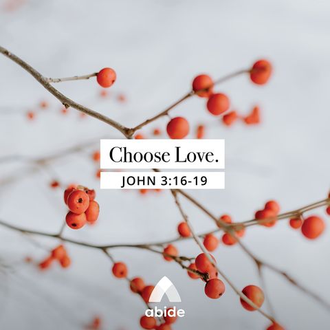 Advent: Choosing Love