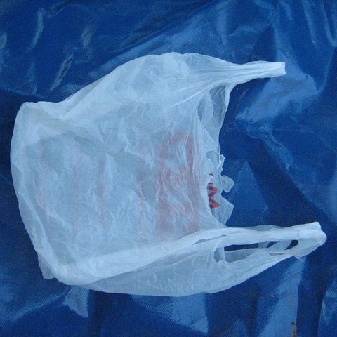 Boston City Council Passes Ban On Plastic Bags