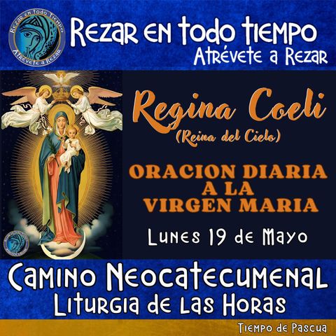 REGINA COELI (REINA DEL CIELO) DE HOY, LUNES 19 DE MAYO ORACION A NUESTRA MADRE 🌹LA VIRGEN MARIA 🙏.