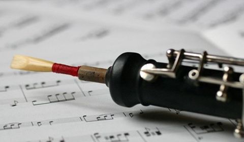 Concerto in Re minore per Oboe e orchestra
