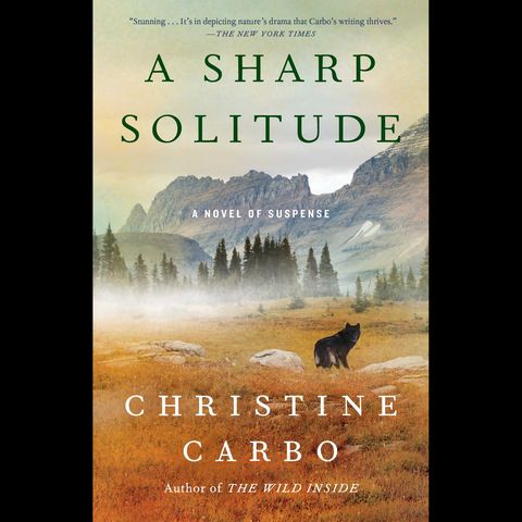 JCS -- A Sharp Solitude -- Christine Carbo