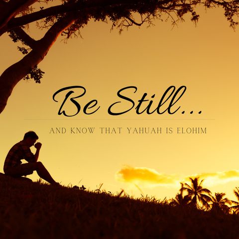 Be Still...