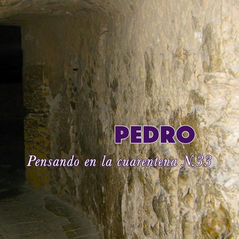 Pedro (Reflexiones en la cuarentena N.33)