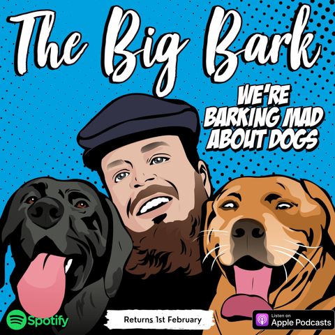 The Big Bark Dog podcast #34 with John Garrahy of Treaty Veterinary clinic: Puppy Parenting from a vets point of view: