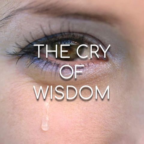 The Cry of Wisdom - Morning Manna #2951