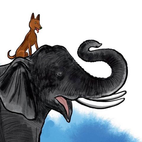 രംഗന്‍ നായയും മദയാനയും;   സിപ്പി പള്ളിപ്പുറത്തിന്റെ കഥ | Elephant And Dog