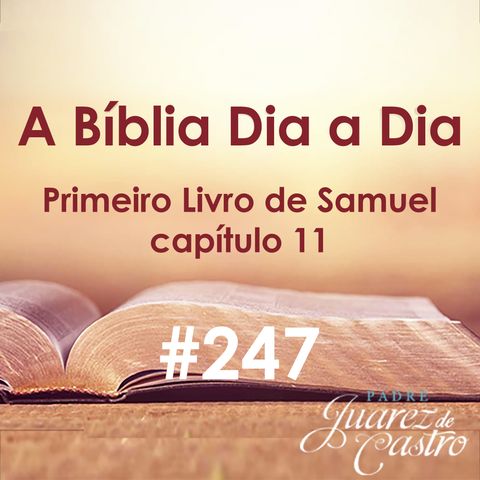 Curso Bíblico 247 - Primeiro Livro de Samuel 11 - Luta contra os Amonitas - Padre Juarez de Castro