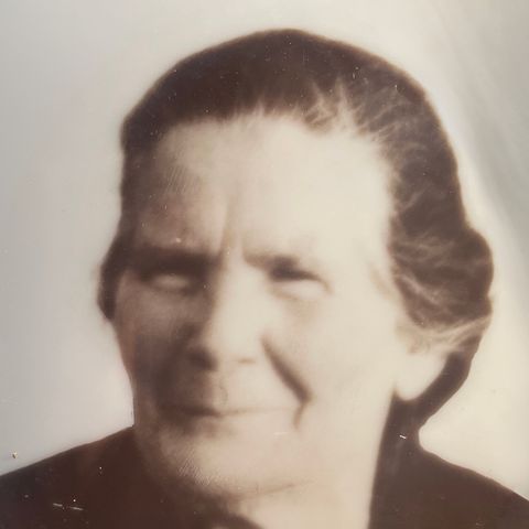 TziaSterina
