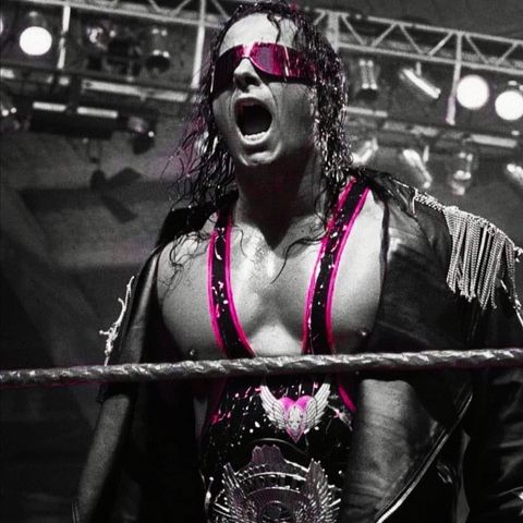 Bret Hart Shoot Interview WWE Hall of Famer