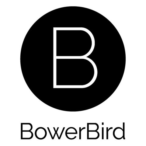 EP9 | How to work through ideas the BowerBird way