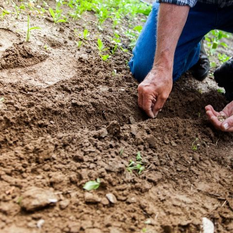 Mission Soil: “Uniti per la salute dei suoli “
