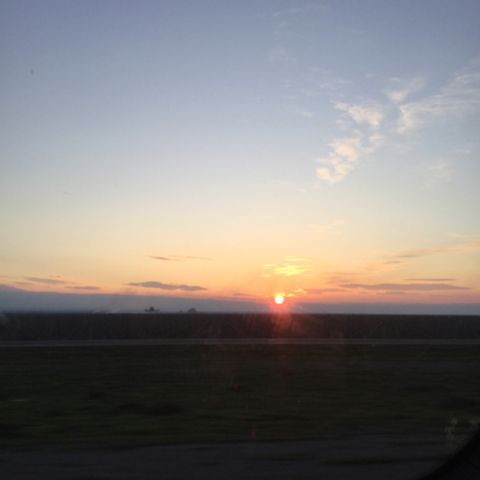 trip to california