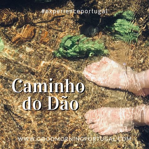 Good Morning Portugal! Experience Portugal: The 'Caminho Do Dao'