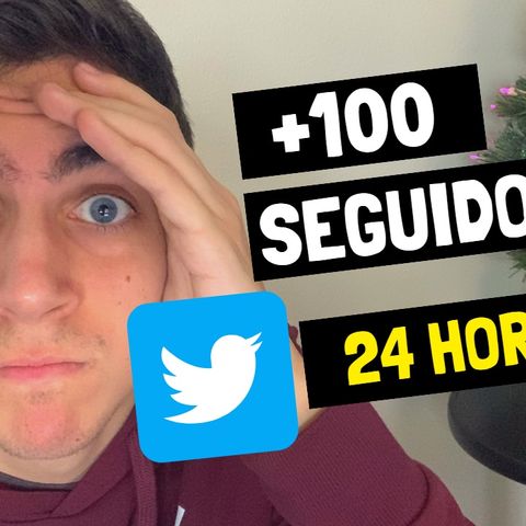 ¿Cómo conseguir 100 seguidores en Twitter en 24 horas?