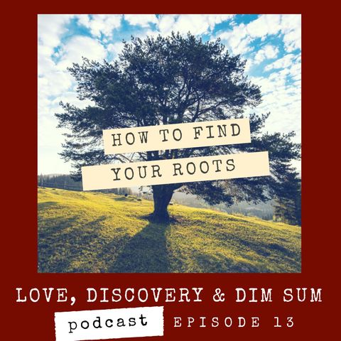 Ep 14 How to Find Your Roots