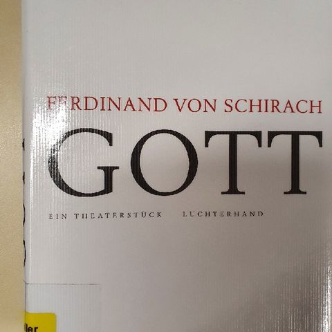 7.4. Ferdinand von Schirach: Gott - ein Theaterstück (Kerstin Morgenstern)