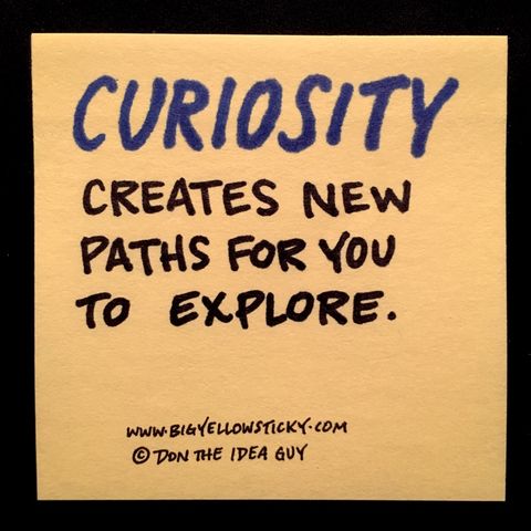 Curious Pathways : BYS 097