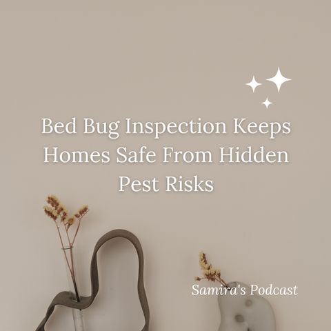 Bed Bug Inspection Keeps Homes Safe From Hidden Pest Risks