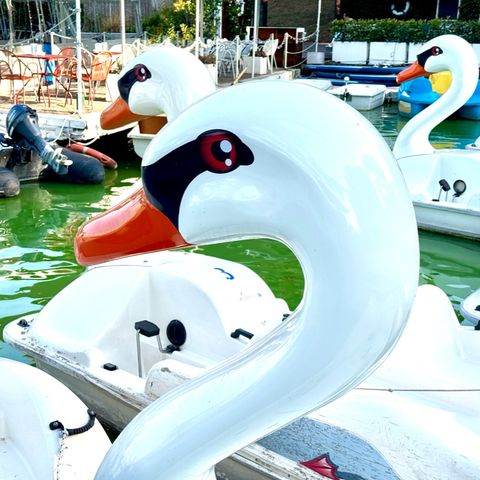 scusabea/vacanze romane 2