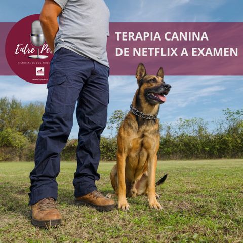 Entre perros 05 | A examen "Terapia Canina" serie sobre Adiestramiento en Netflix