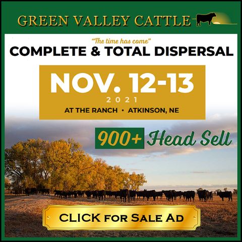 Dennis Garwood - Complete Dispersal Sale at Green Valley Cattle : Episode #385