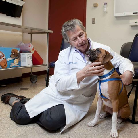 1259. Can Pets Commit Suicide? Animal Behaviorist Dr. Nicholas Dodman Shares His Research.