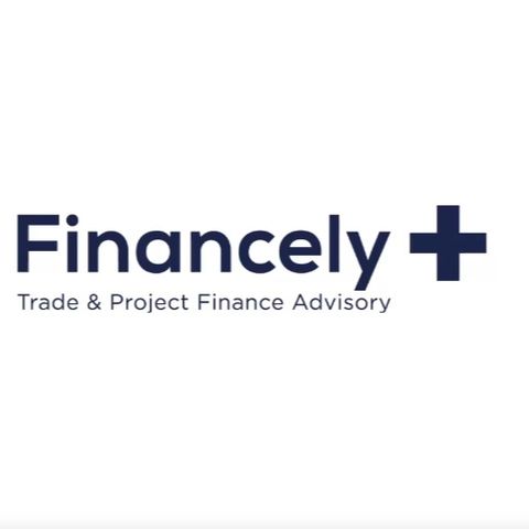 Opening Development: The Success of Financely Group Inc. in the Tangled World of Capital Raising