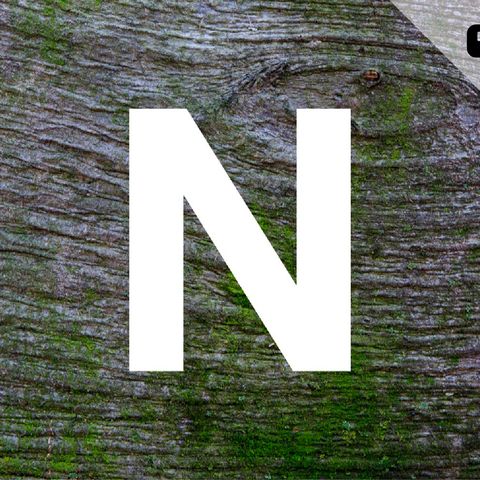Intelligenza Naturale - Francesca Frigo e Giorgio Vacchiano "Il seme del futuro"