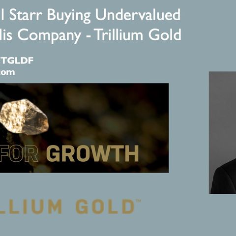 CEO Russell Starr Buying Undervalued Shares Of His Own Company - Trillium Gold