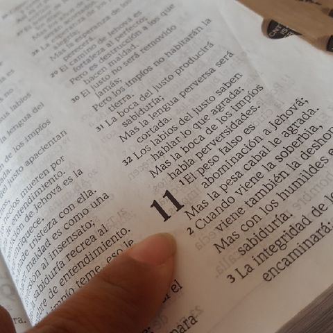 Proverbios 11 Y Salmos Del 51 Al 55