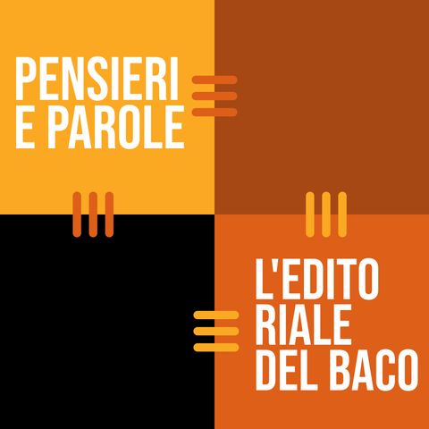 "Lo ius scholae e quella nostra classe delle elementari al museo africano di Verona", del direttore Mario Salvetti