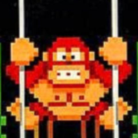 Pure Donkey Absolute Nintendo (Nintendo Pure) - Donkey Kong NES trilogy