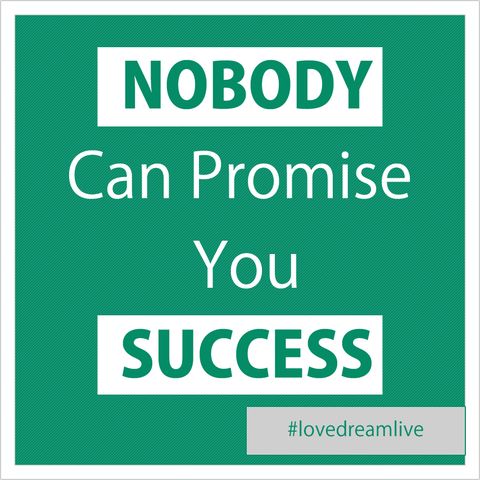Why Nobody Can Promise You Success