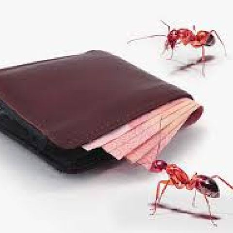 Aprende que son los gastos hormiga y como puedes controlarlos