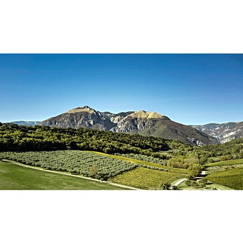 Azienda Agricola e Agriturismo Tommaso Masciantonio a Casoli (Abruzzo)
