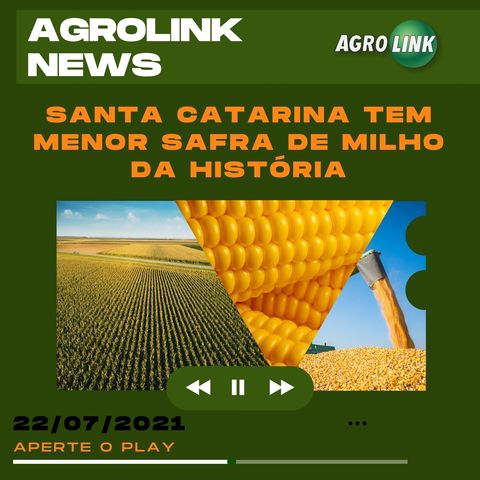 Podcast: Produção de milho de Santa Catarina é a menor da história